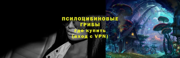 прущие грибы Алексин