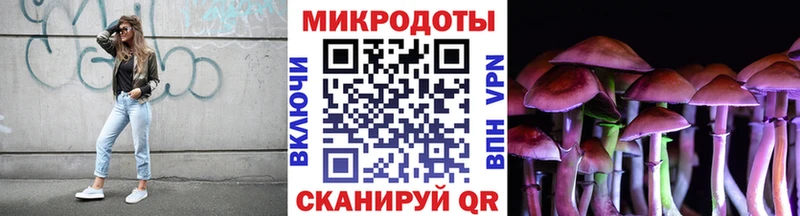 Псилоцибиновые грибы GOLDEN TEACHER Невинномысск