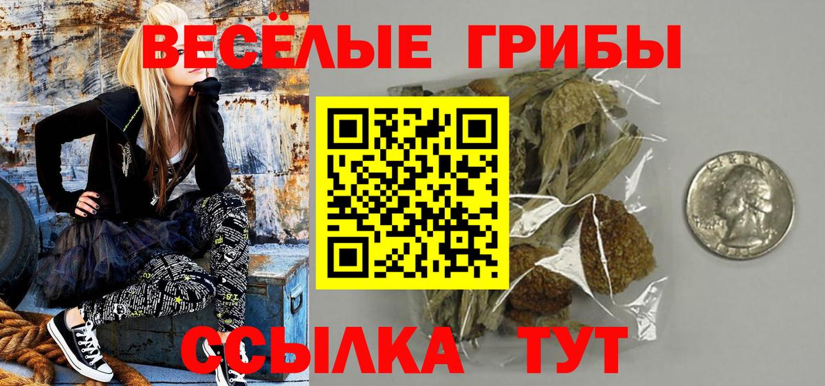 Псилоцибиновые грибы ЛСД Невинномысск