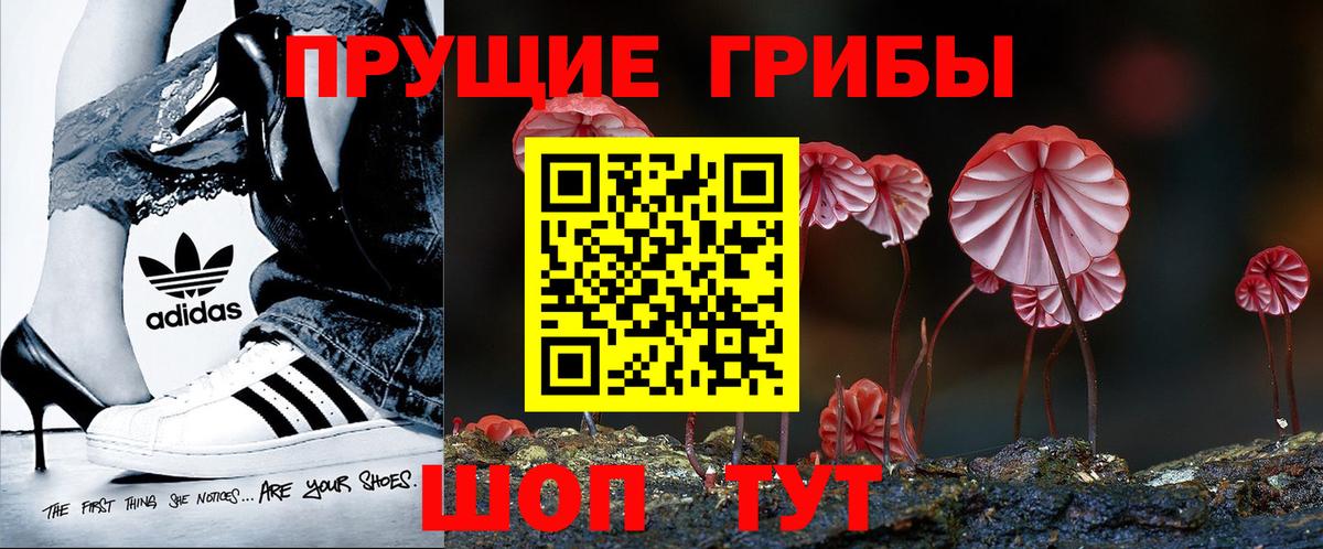 Галлюциногенные грибы MAGIC MUSHROOMS  Вход с VPN  Псилоцибиновые грибы MAGIC MUSHROOMS  Невинномысск 
